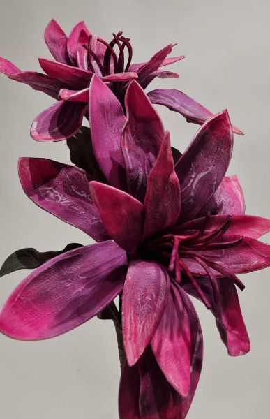  - Luckyart Pink-Purple 2'Li Çiçek